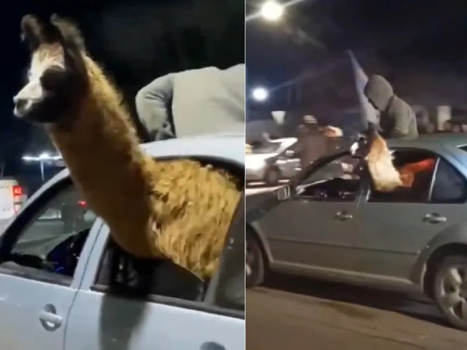 Denunciaron al agente penitenciario que llevó una llama adentro de un auto para festejar el triunfo de Argentina: qué sanciones podrían aplicarle