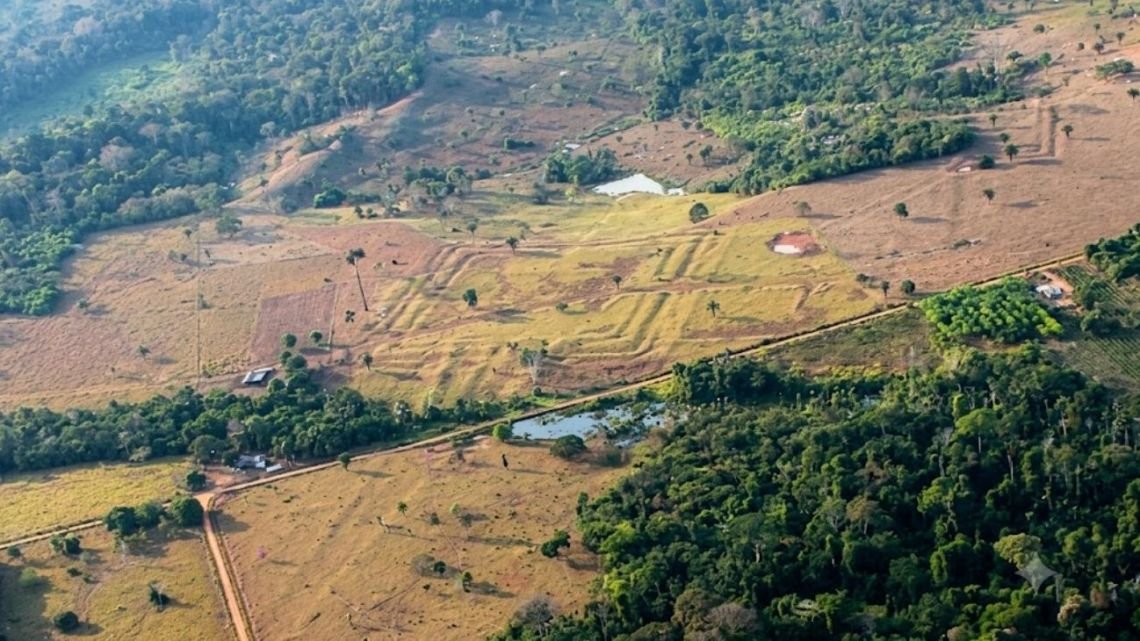 Descubren una civilización perdida en el Amazonas que albergó hasta 3 millones de personas