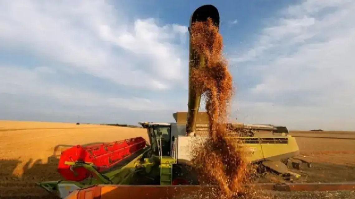 El agro volvió a salvar las papas: las exportaciones crecieron un 17,5% y aportaron más de US$ 22.000 M