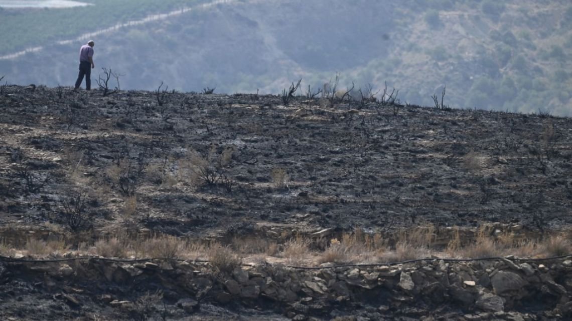 España: ceden los incendios que dejaron atroz reguero de muerte y destrucción en Andalucía