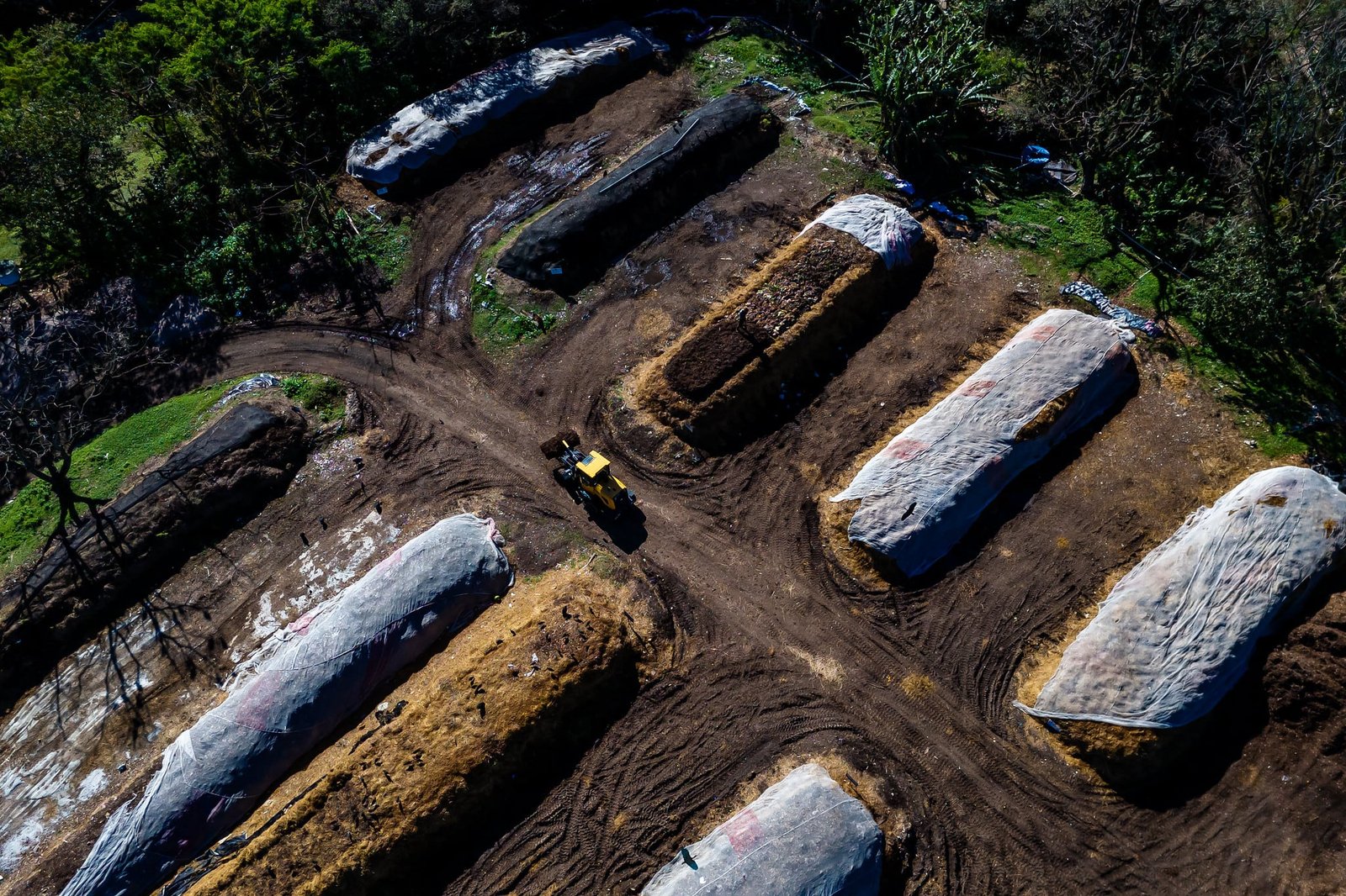 Florianópolis, la ciudad brasileña que quiere erradicar la basura