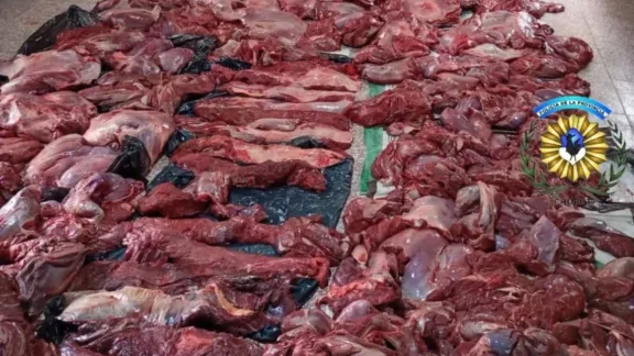 Incautan gran cantidad de carne de guanaco en un operativo en Dolavon