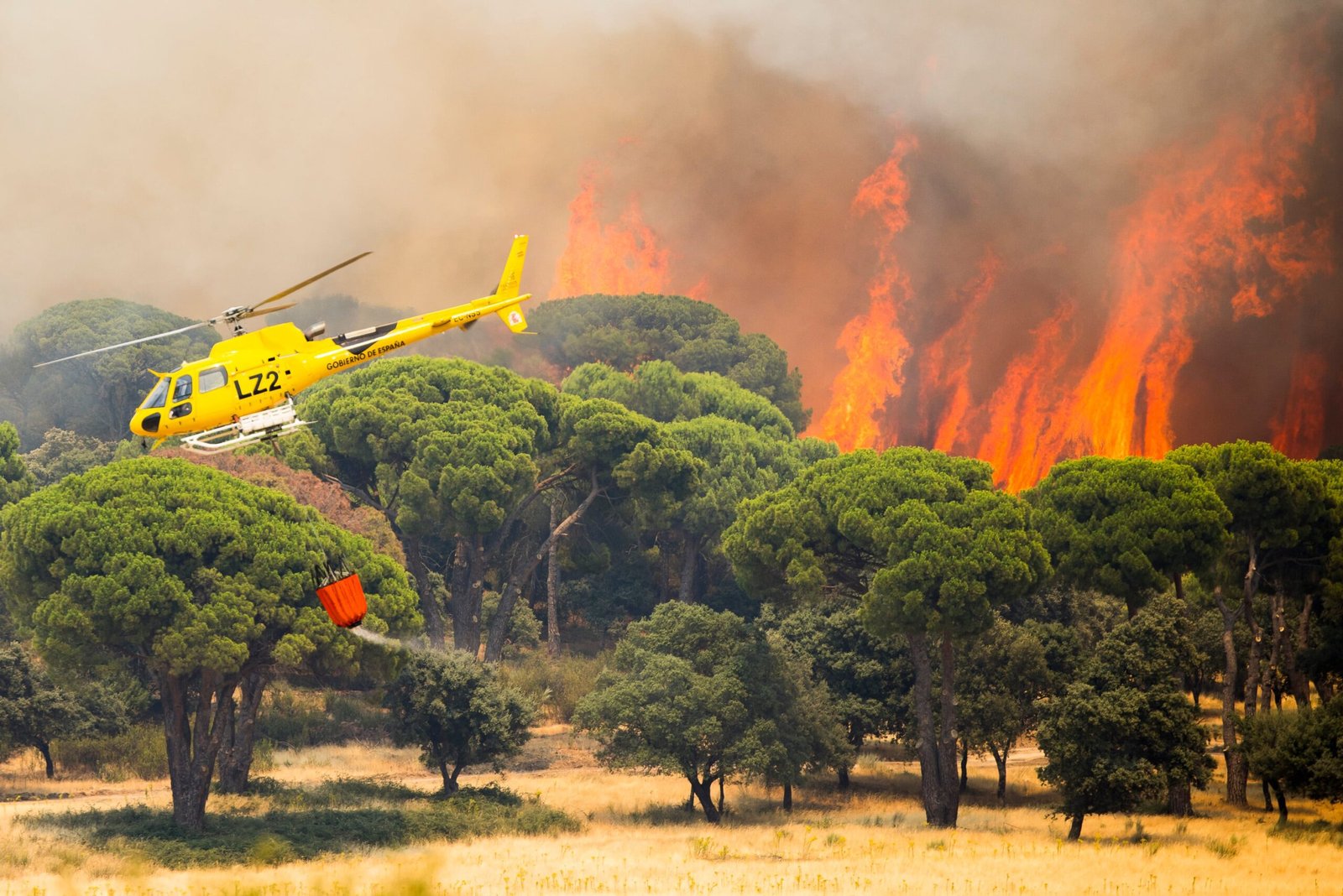 Medios aéreos trabajan en la extinción del incendio declarado en la Sierra Oeste de Madrid.