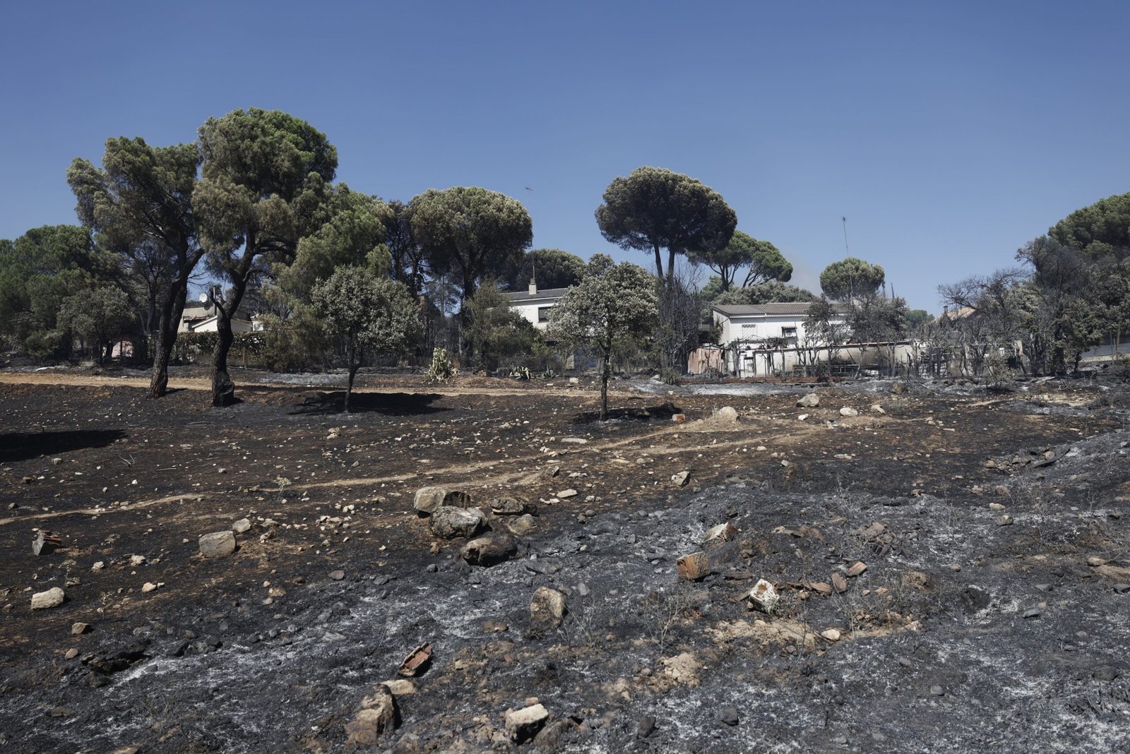 Vista del terreno quemado tras el incendio forestal de Villa del Prado (Madrid), el 24 de julio de 2027.