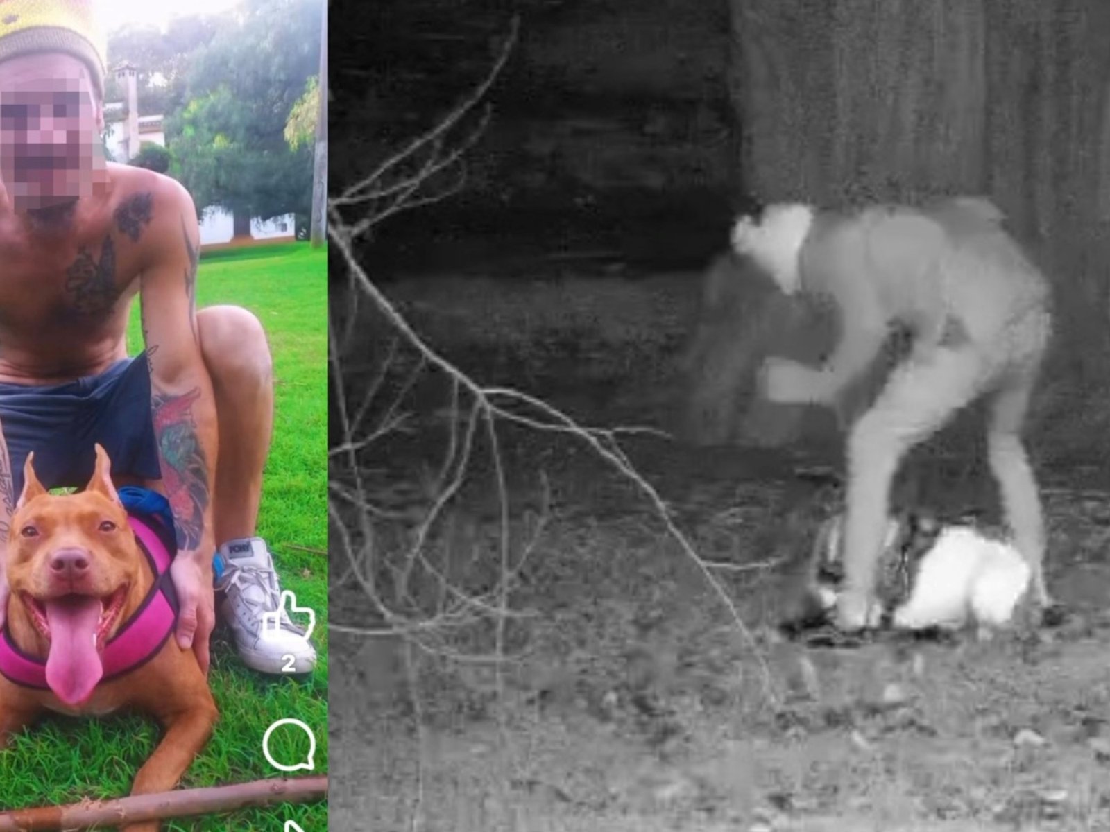 Se mostraba como un influencer amigo de los animales y fue grabado golpeando salvajemente a sus perros