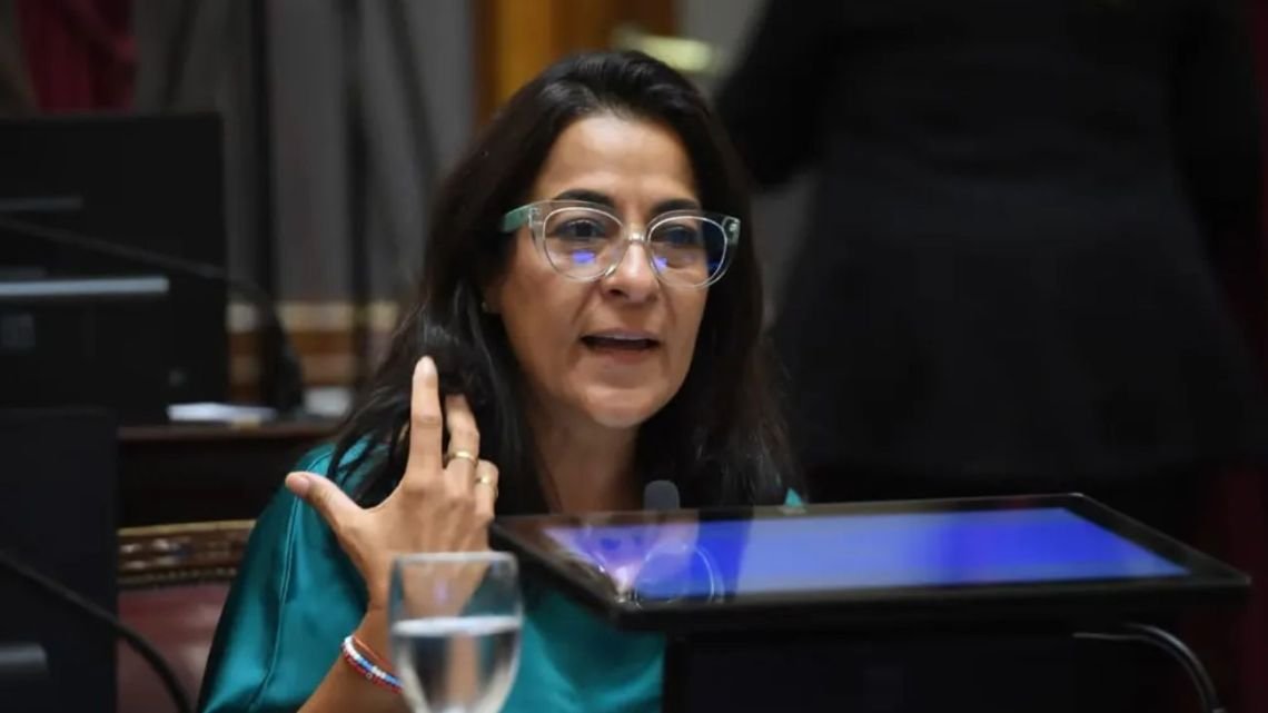 Senadora Carolina Moisés: llamar ley de inviolabilidad es falaz porque en Argentina la propiedad ya es inviolable