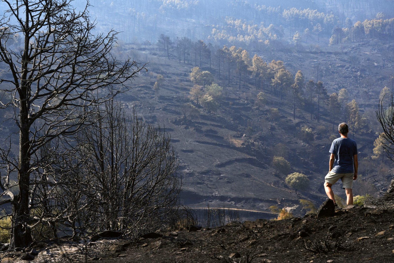 Última hora de los incendios forestales, en directo | Los incendios dan una tregua horas antes de la ola de calor y 15.000 desalojados vuelven a sus casas