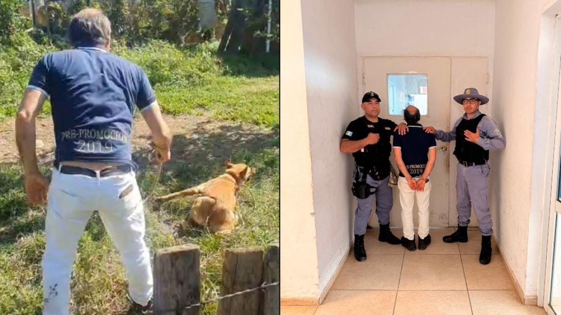 Un hombre de 76 años golpeó brutalmente a una perra: el video se viralizó y terminó detenido