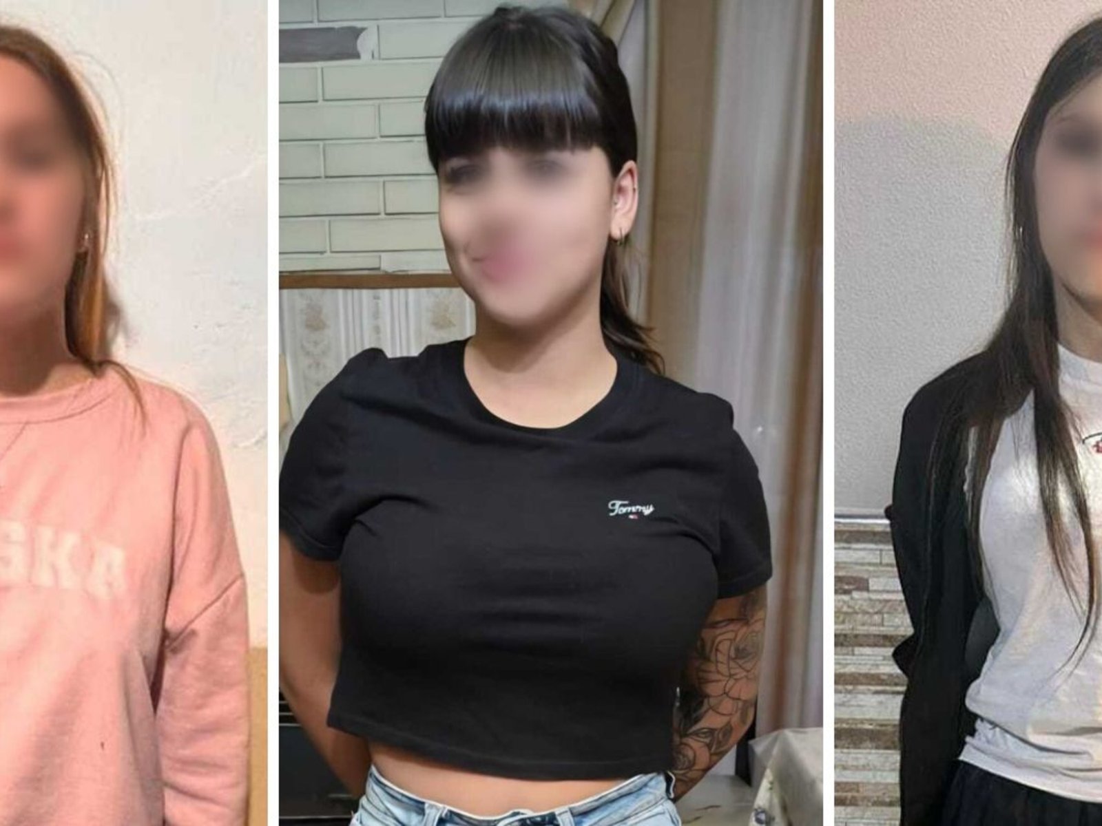 así atacan las tarántulas, las nuevas viudas negras