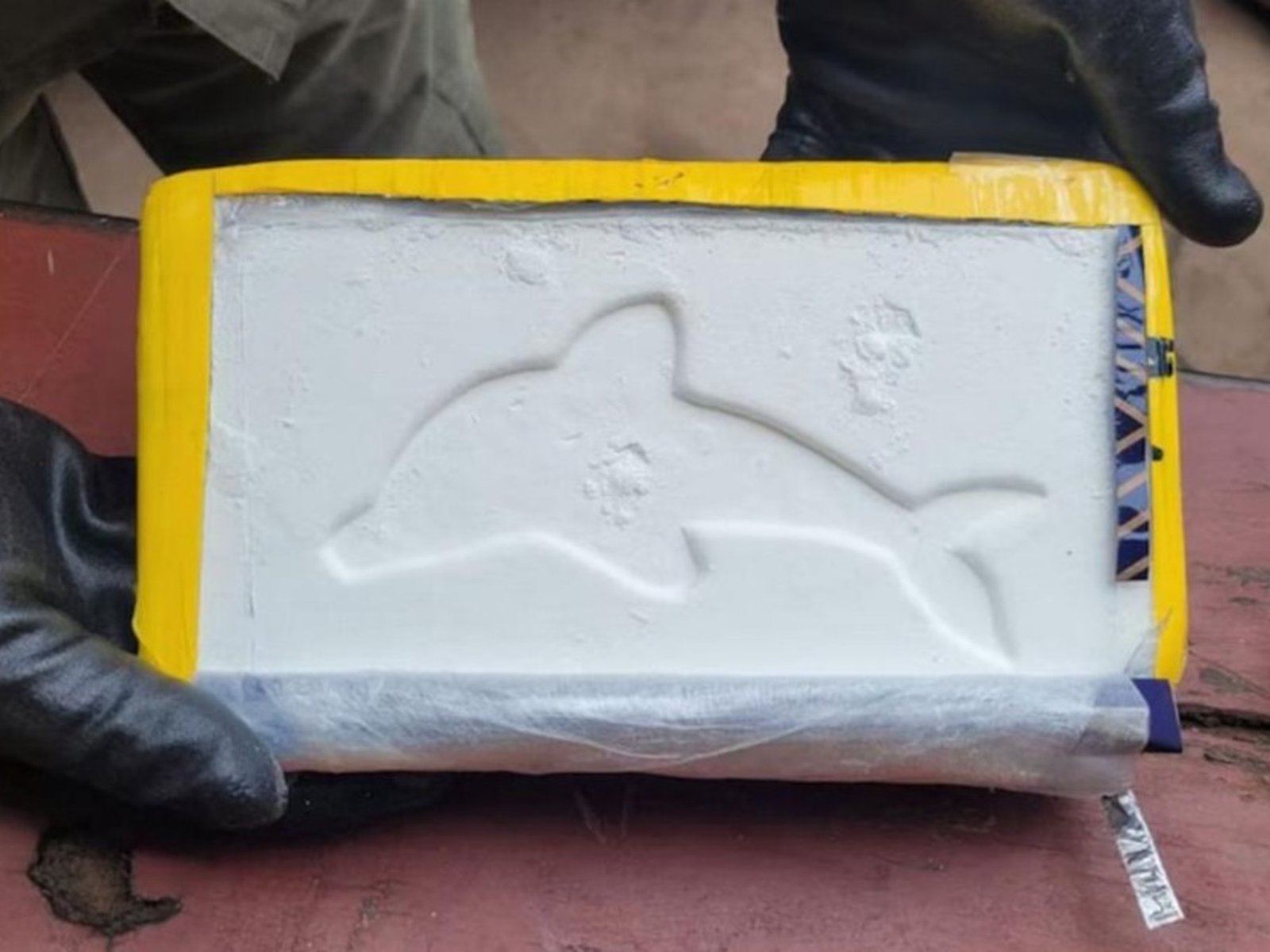 detuvieron a dos mujeres con más de 20 kilos de cocaína con el famoso sello del delfín y envueltos con aderezo