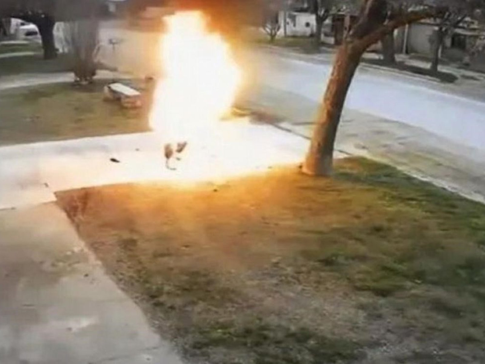 el video que será clave para determinar cómo se inició el fuego