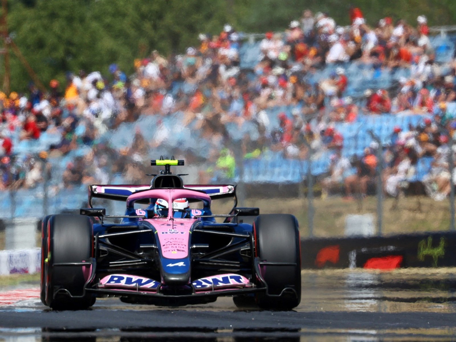 perdió el quinto puesto del Mundial de Constructores y aumentan las dudas sobre los autos de Colapinto y Gasly