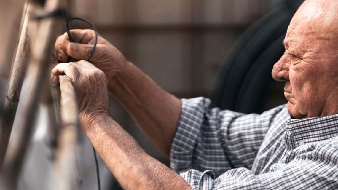 ANSES: Cuánto cobran los beneficiarios de la PUAM con el aumento de agosto y cómo tramitar el beneficio
