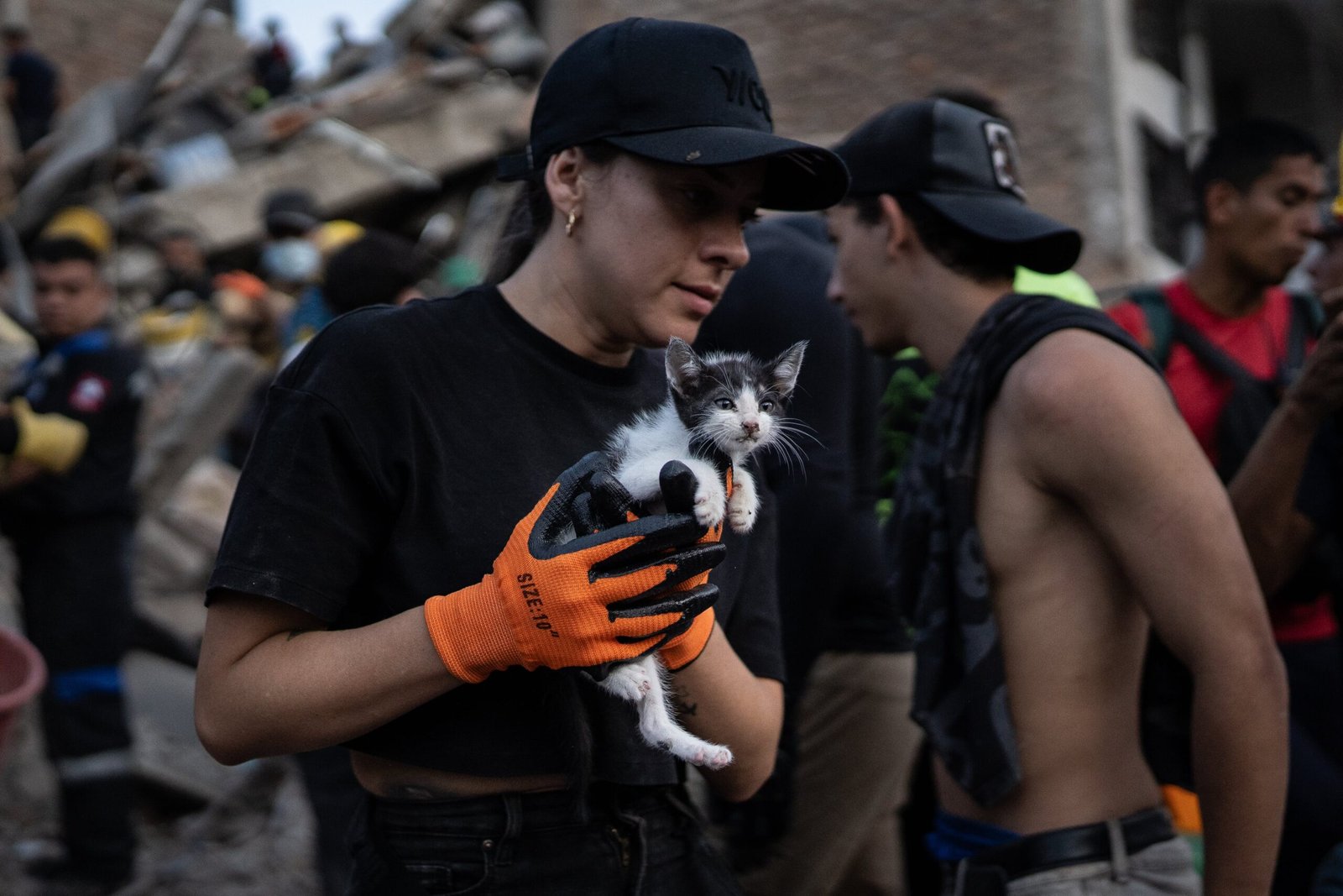 Una rescatista traslada a un gato recién rescatado de los escombros en busca de atención médica, en Pereira, el 11 de agosto.