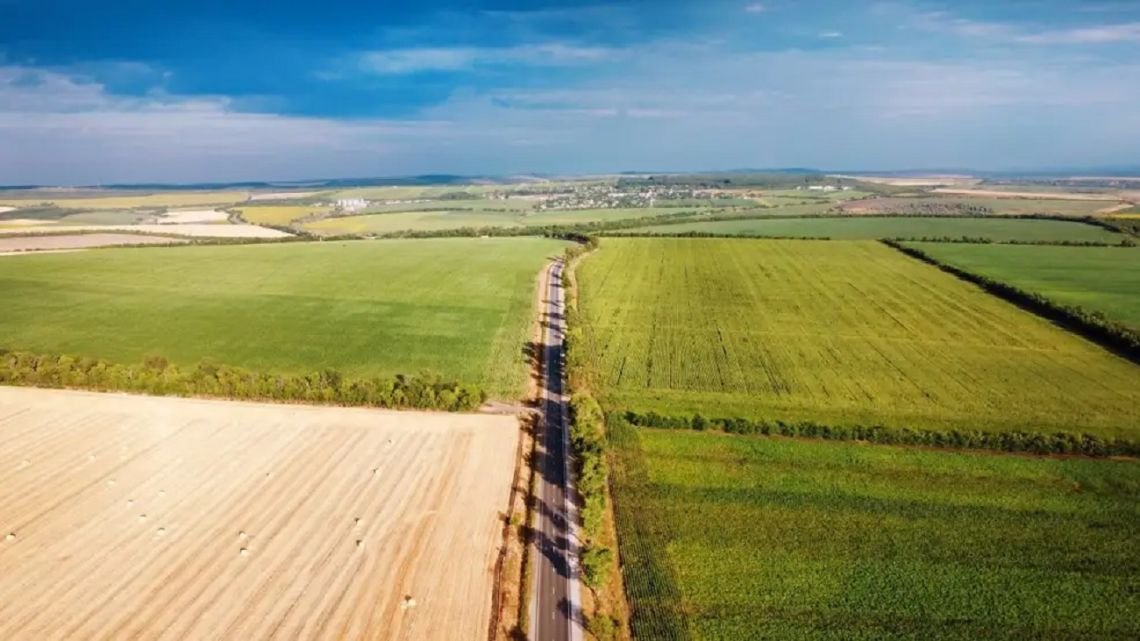 Crisis agropecuaria en Francia: cae 35% la producción de maíz y aumenta el costo del combustible