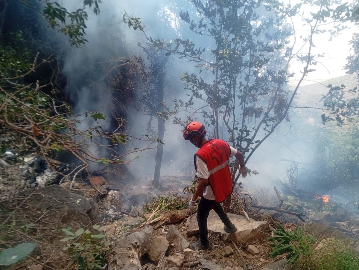 El jefe de Inteligencia de Ecuador muere junto a su esposa en un accidente de helicóptero en Kenia