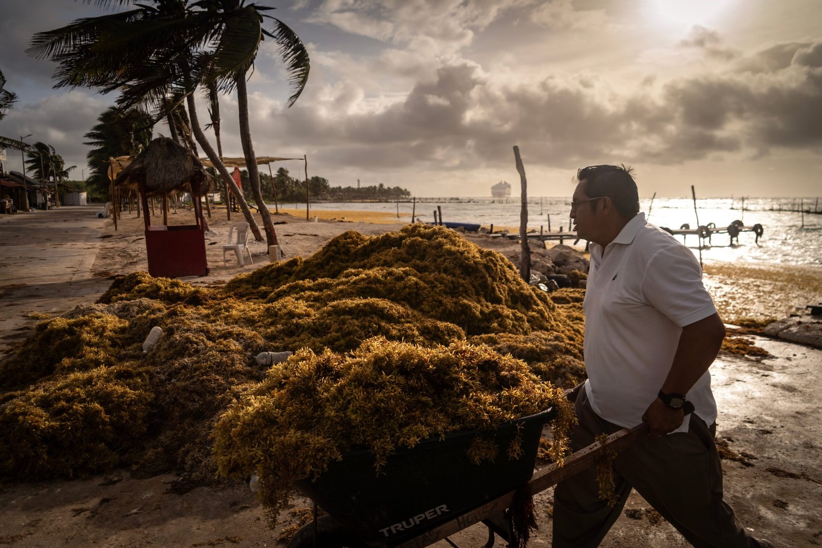 Trabajadores retiran sargazo del océano, en Mahahual, Quintana Roo, México, el 28 de mayo.