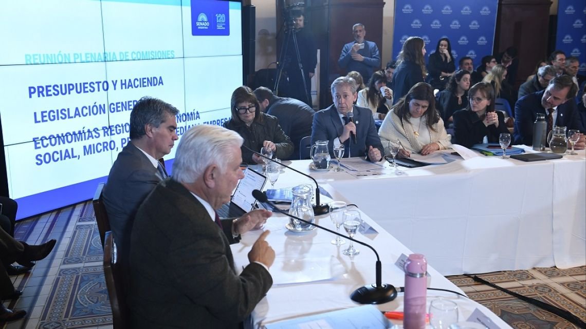 El proyecto de Vischi: cómo impactaría el RIIR en las economías regionales