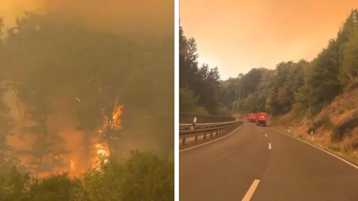 Incendios forestales en Europa: Bélgica combate un fuego récord y hay muertos en Grecia