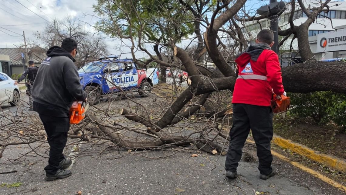 Ráfagas de hasta 95 km/h en Córdoba: Defensa Civil recibió 950 llamados por la tormenta de viento