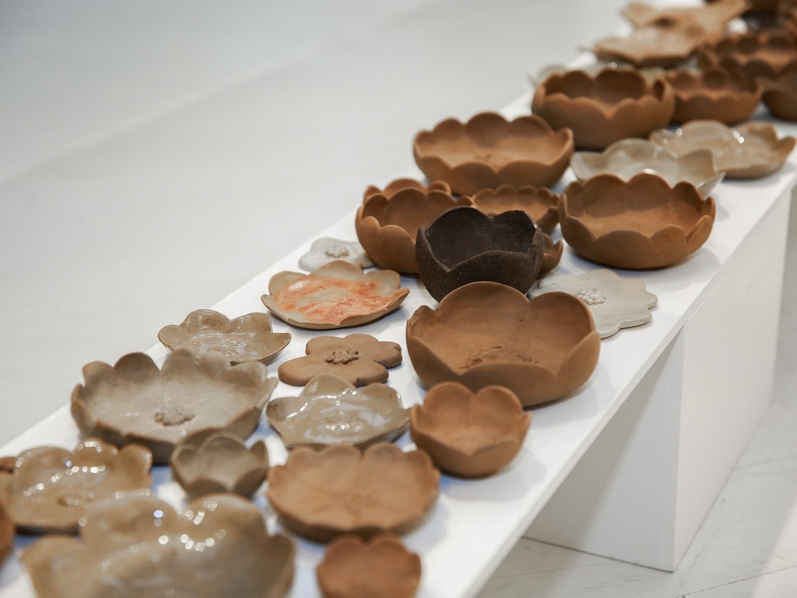 Tres artistas exploran los vínculos entre arte y naturaleza en 'Trama Invisible'