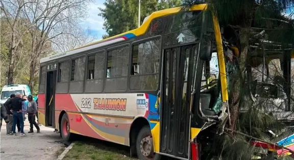 Un colectivo chocó contra un árbol tras impactar con un auto: hubo unos 20 heridos