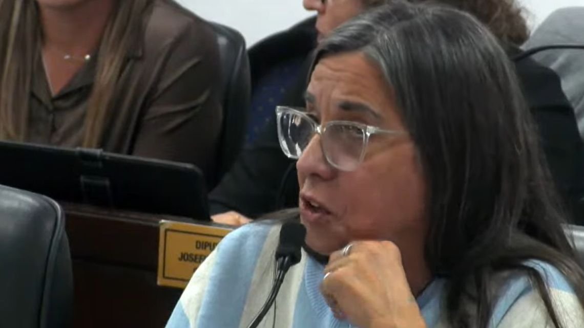Una diputada de Chaco pidió adherir al Día del Orgasmo en plena sesión por el sobreendeudamiento