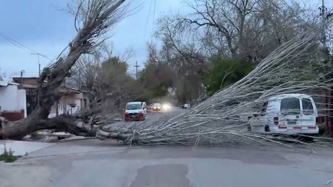 Viento Zonda en Mendoza: alerta por ráfagas de 70 kilómetros por hora y nevadas en la alta montaña