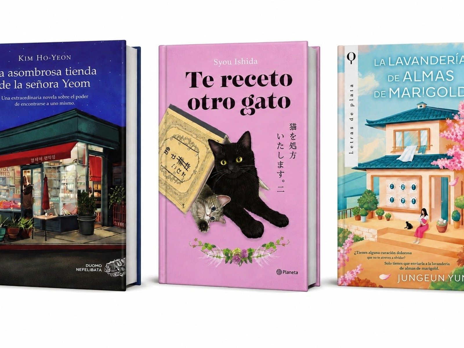 el fenómeno de las novelas que prometen consuelo conquista a millones de lectores