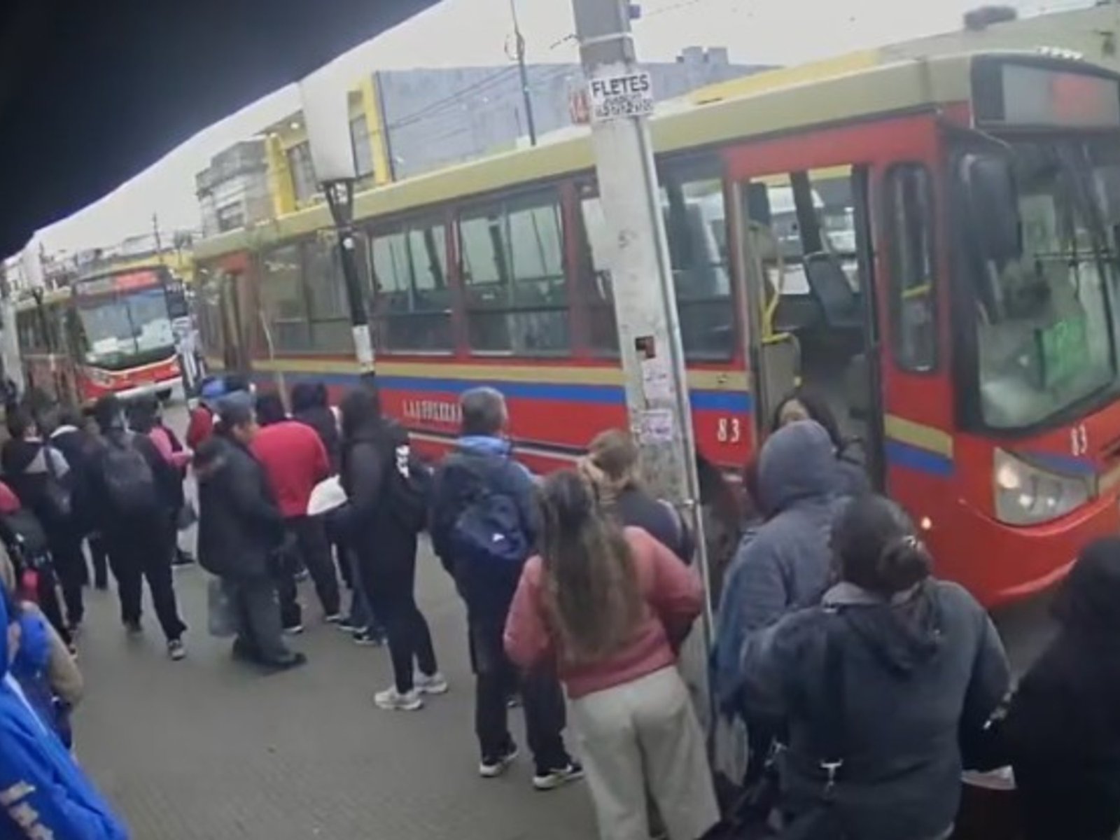 intentó cruzar la calle y murió atropellada por un colectivo que hizo marcha atrás