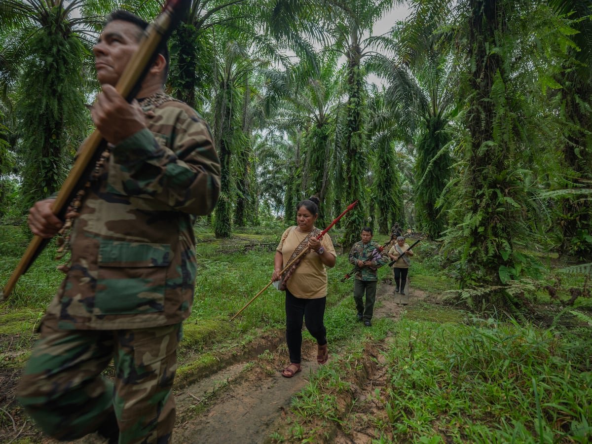 América Latina repite como la región más letal para defender el ambiente y la tierra: reportó el 85% de los casos en 2025 | América Futura