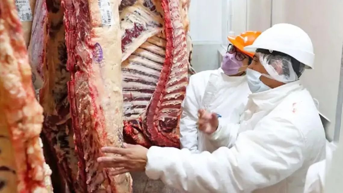 Carne argentina a Japón: tras 20 años, reabre un mercado de más de u$s3.000 millones