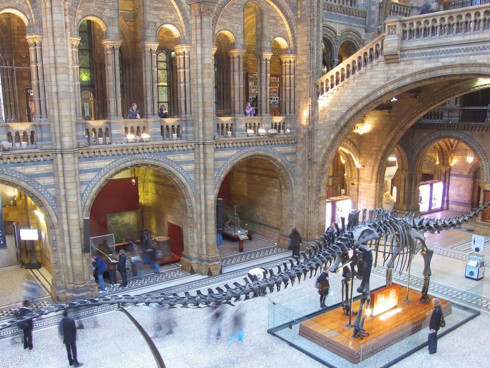 El Museo de Historia Natural de Londres reabre una galería cerrada desde la Segunda Guerra