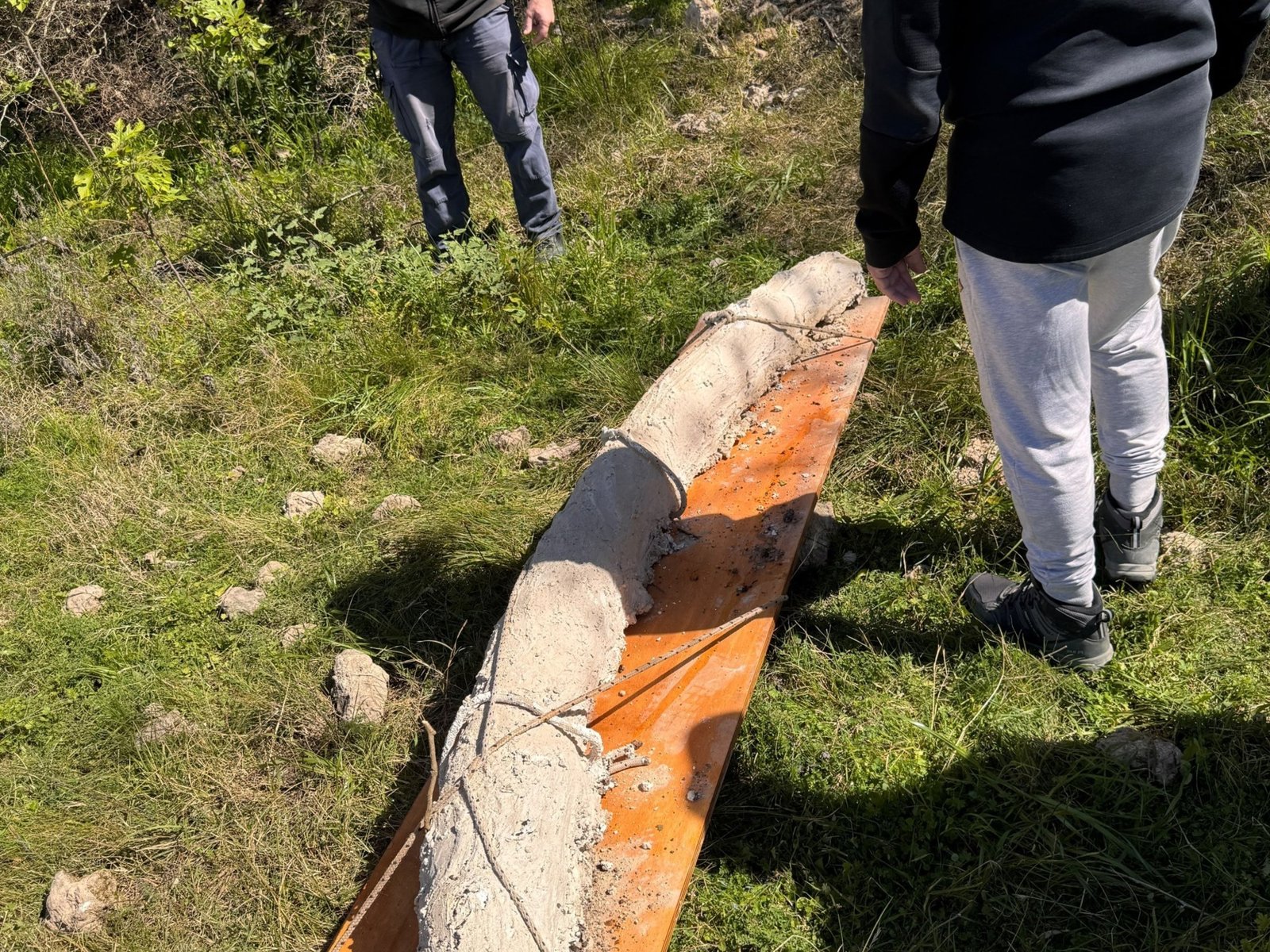 Hallaron en San Pedro el colmillo de mastodonte más grande de Sudamérica