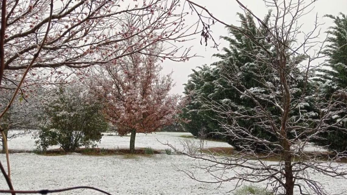 La nieve volvió a Córdoba: cerraron el Camino de las Altas Cumbres por el hielo y el frío