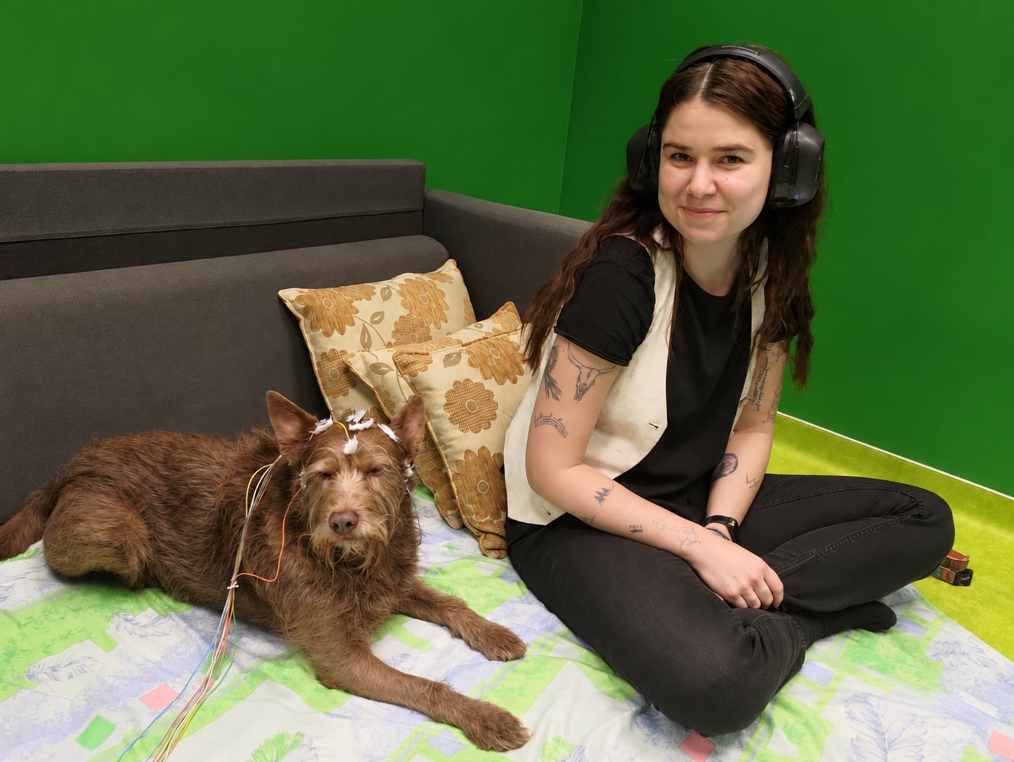 Los perros también prefieren las consonantes: así es como nuestro lenguaje moldea su cerebro