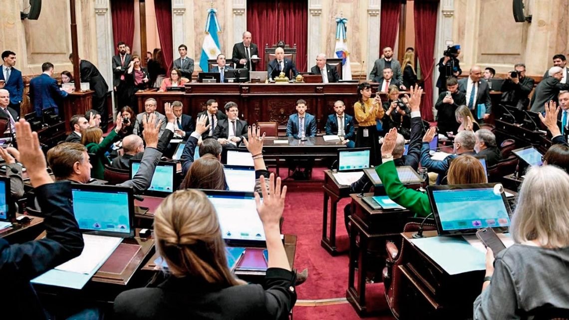 Los senadores cobrarán más de $13 millones mientras el sueldo mínimo no alcanza la canasta básica