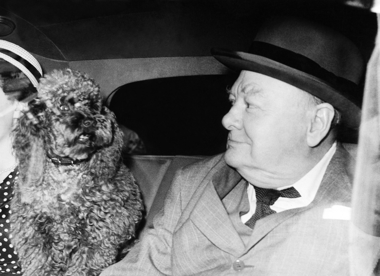 Mi perro y yo: 22 imágenes de estrellas de cine, políticos y artistas con su mejor amigo