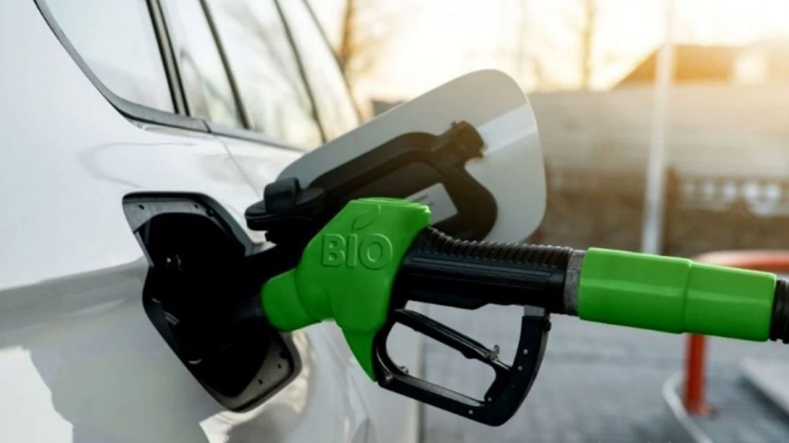 Qué cambios habrá por la nueva ley de biocombustibles