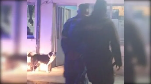 Robó herramientas de un departamento del Barrio Ceferino, intentó ocultarse en una garita y terminó detenido