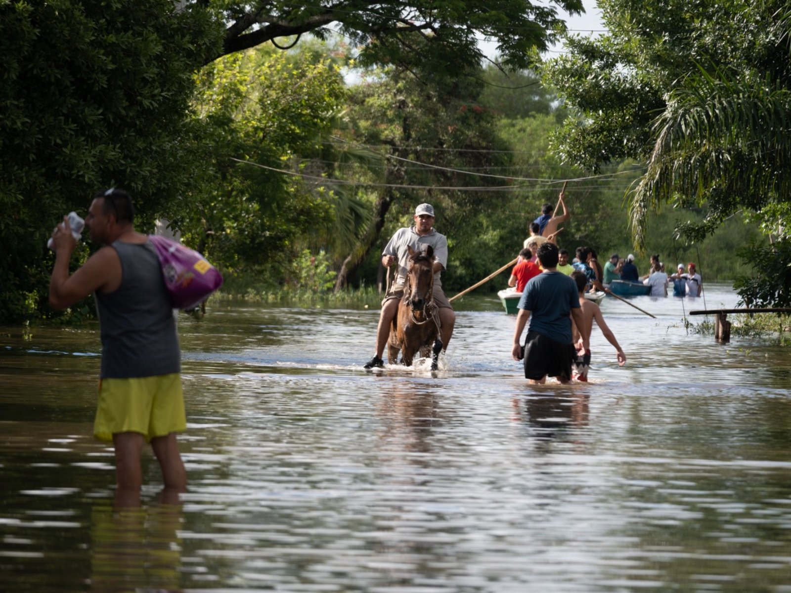 Súper Niño 2026 en Argentina, EN VIVO: qué provincias serán las más afectadas y cuándo llegarán las lluvias más fuertes