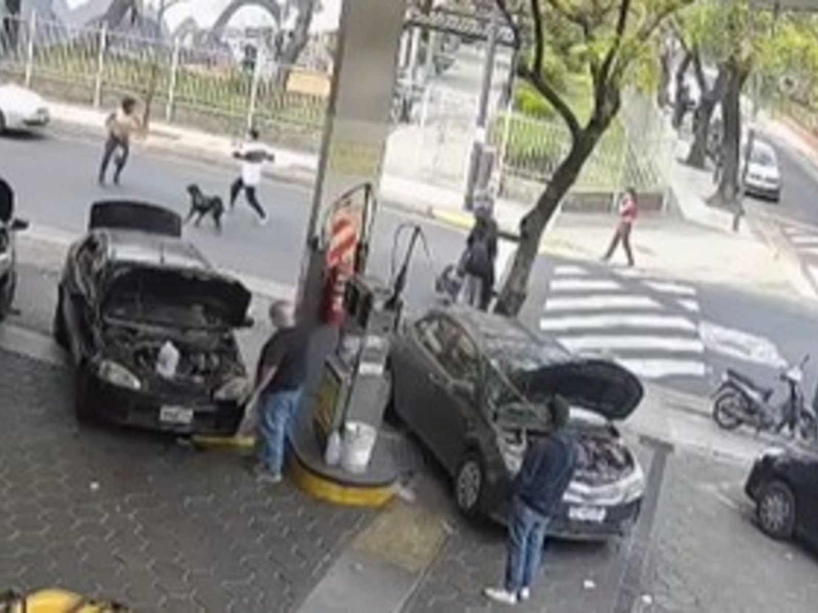 ató una faca a una muleta y la usó como una lanza en una pelea callejera