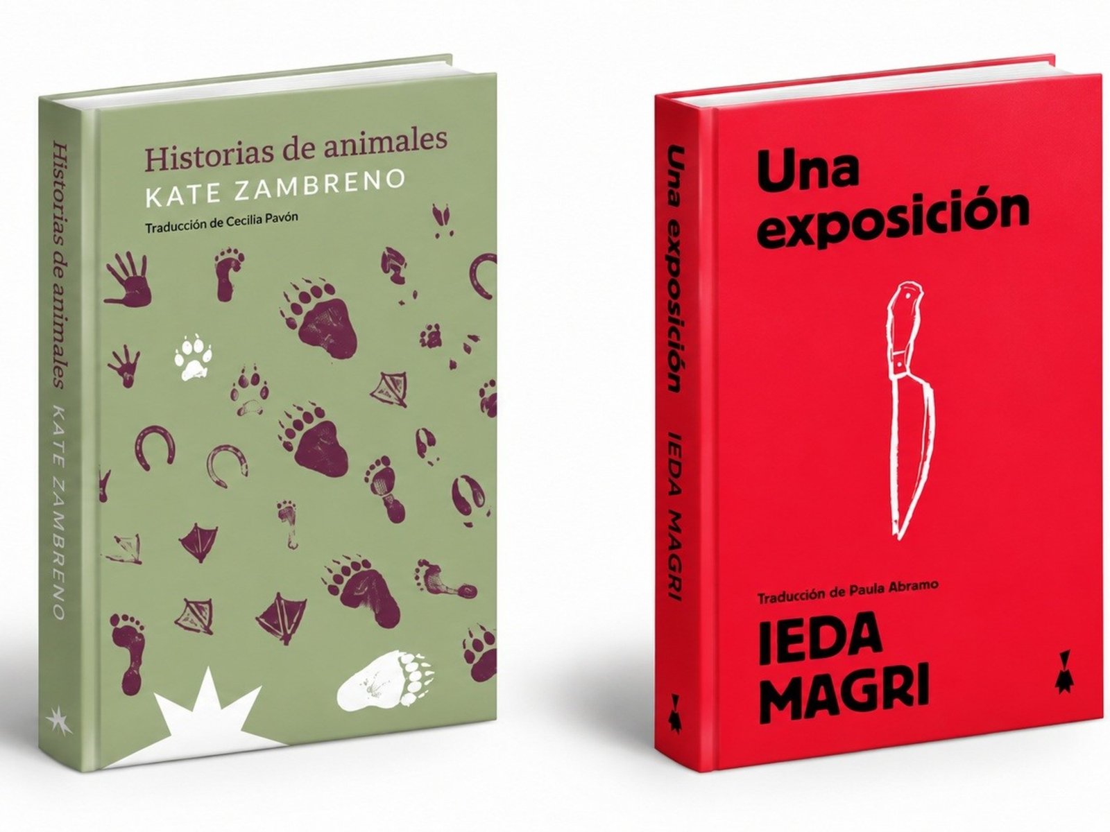 dos libros sobre la mirada, la carne y la condición humana