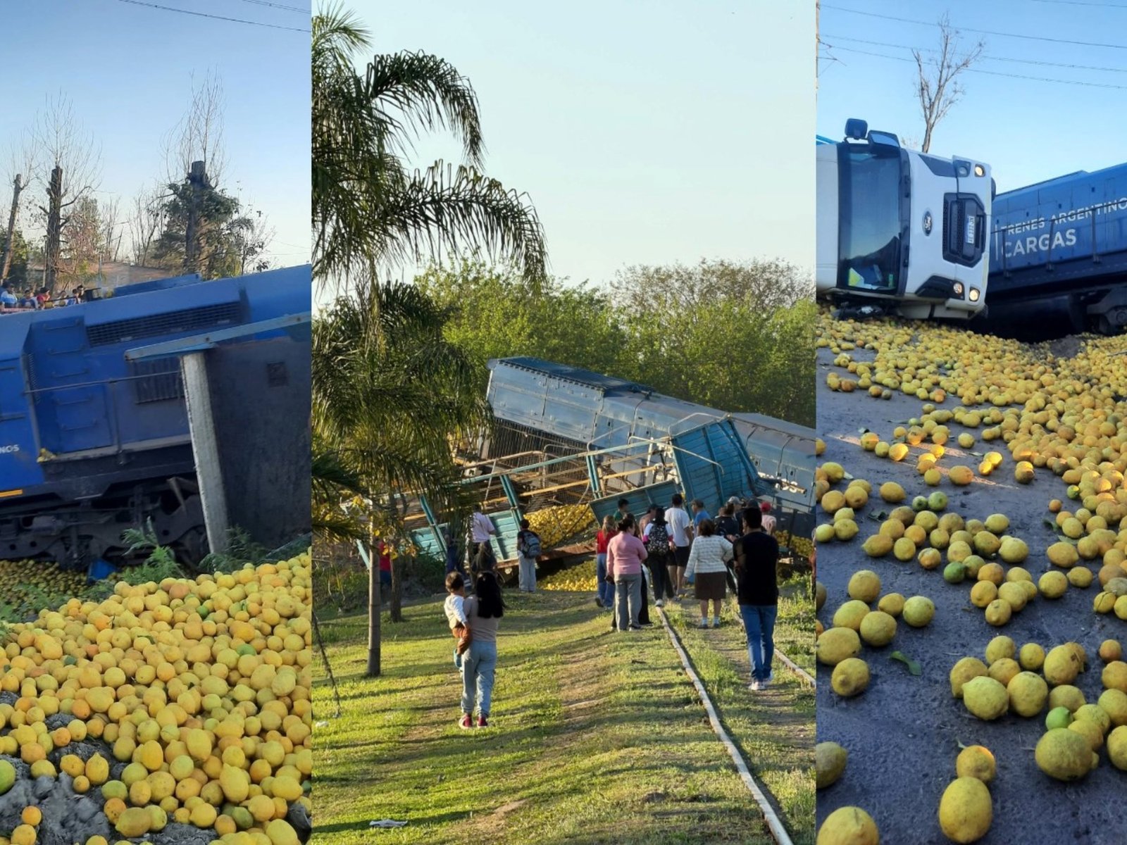 un tren del Belgrano Cargas embistió a un camión de limones que cruzó mal la vía