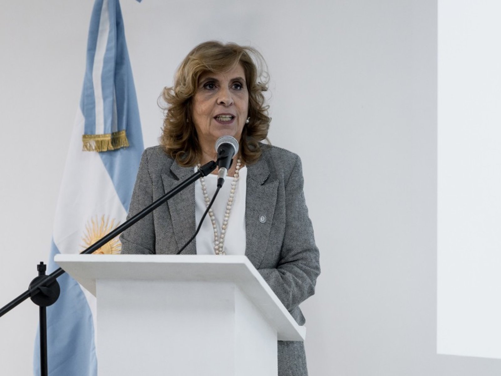 una ONG presentó una denuncia penal contra la jueza que suspendió su aplicación en la Provincia