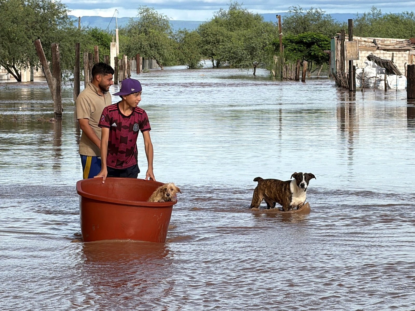 cuándo será el pico de las fuertes lluvias y cómo cambiará el clima