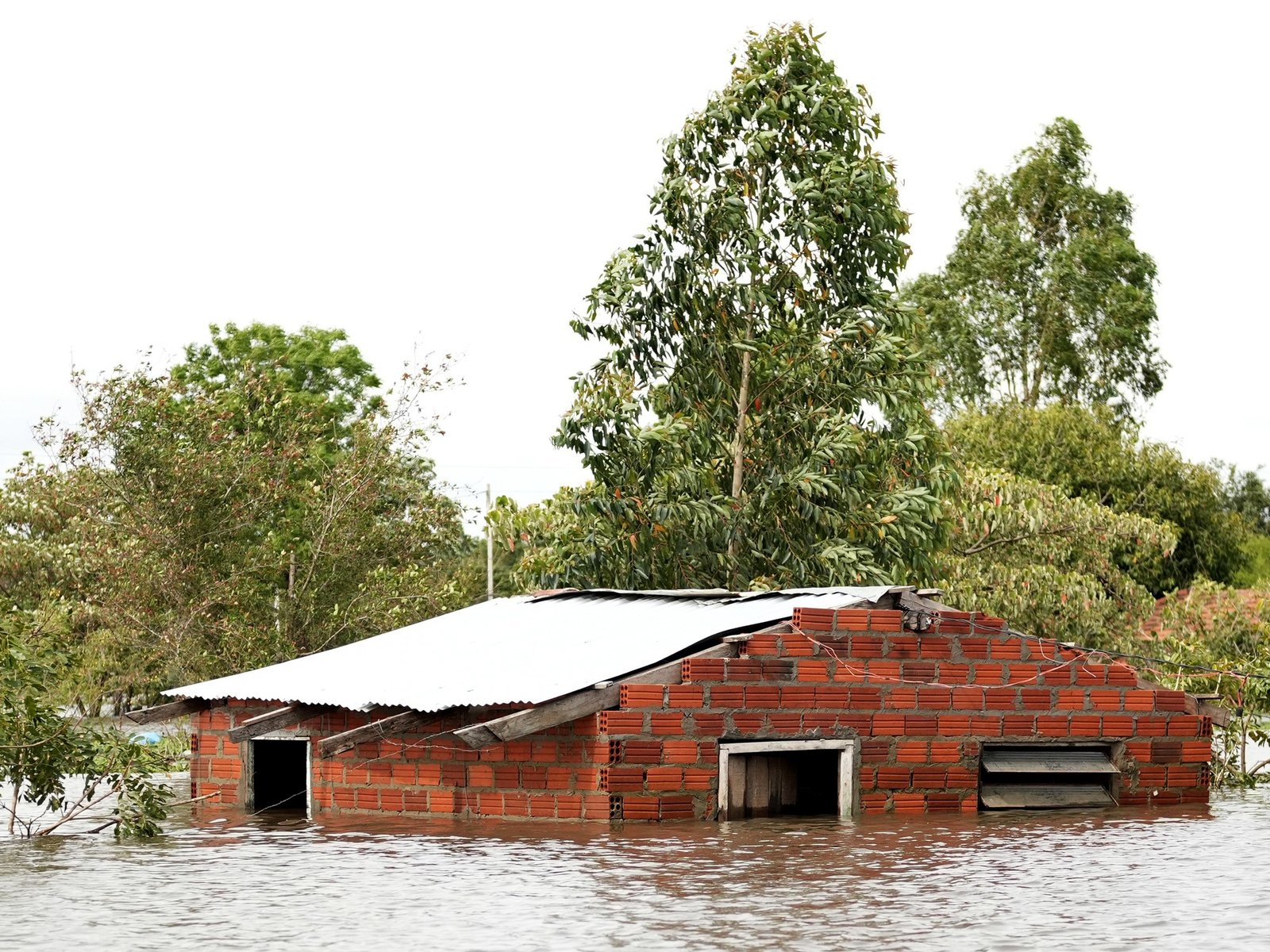 cuándo será el pico de las lluvias y las provincias más afectadas