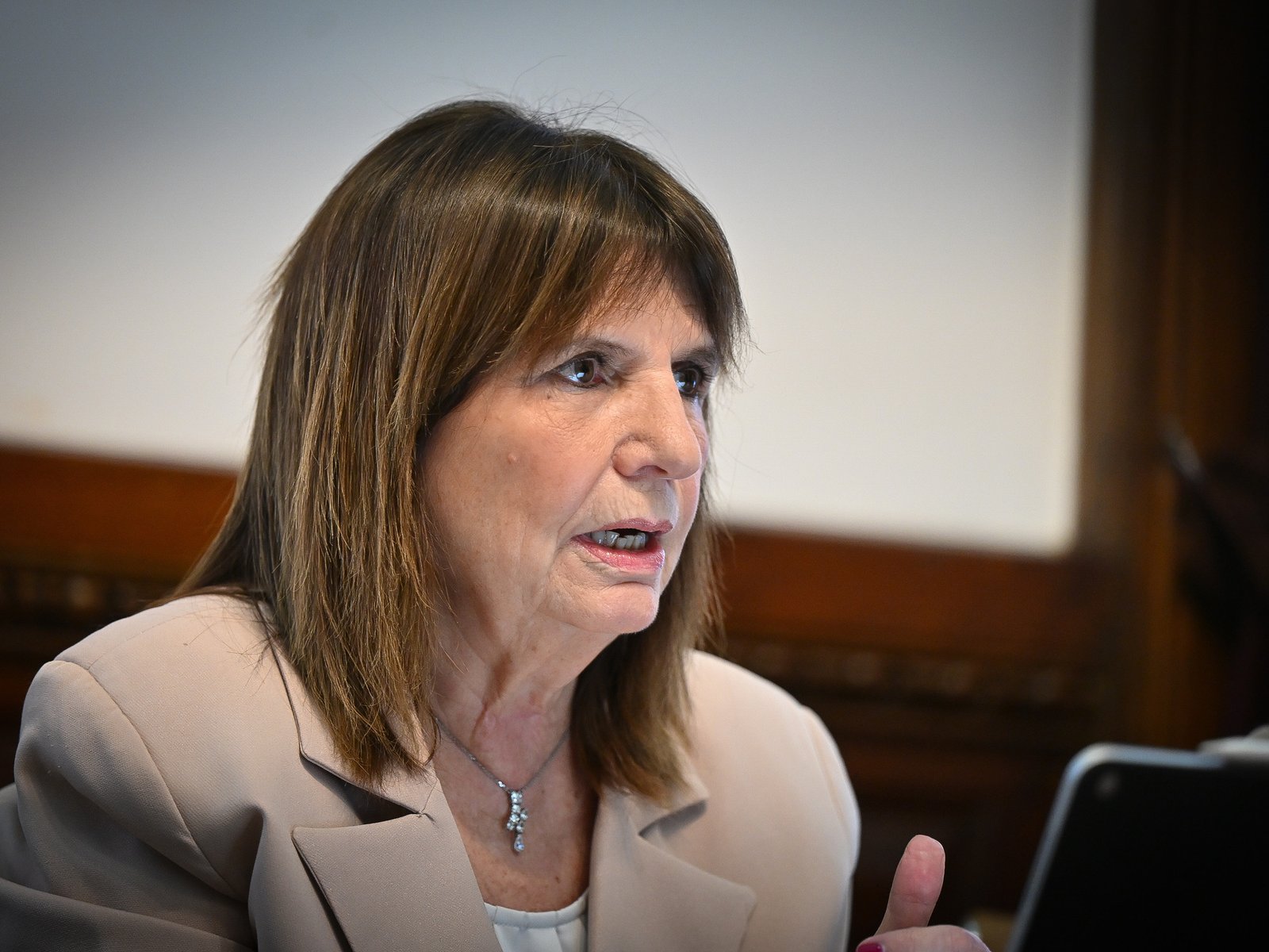 Bullrich presentó diez cambios clave al proyecto para la nueva Ley de Salud Mental