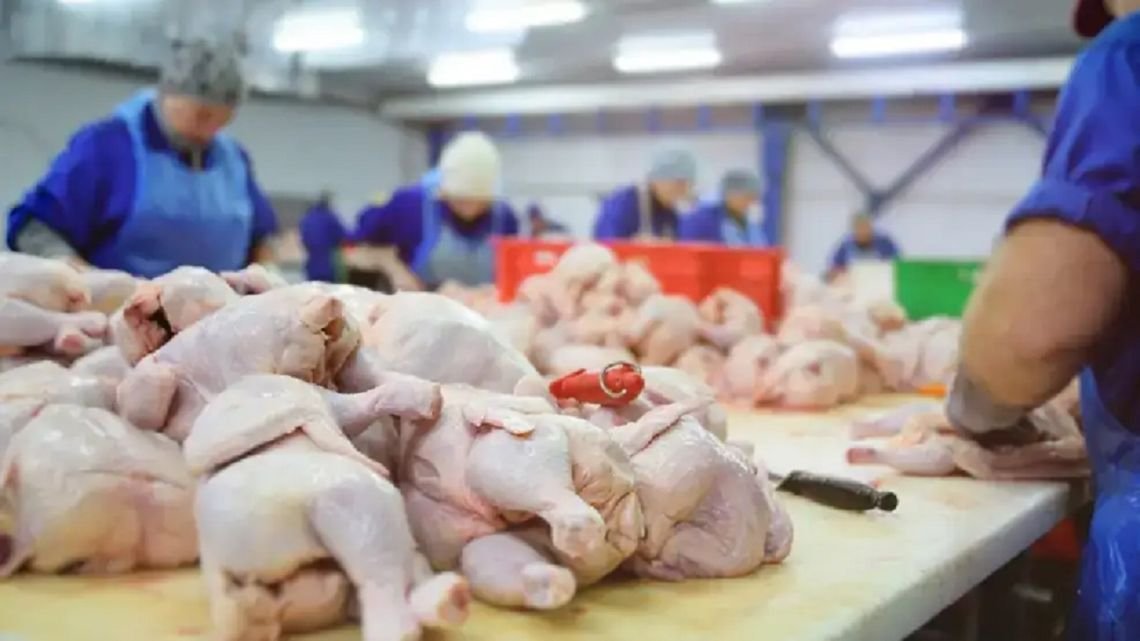 Crisis: el consumo de pollo superó al de carne vacuna por primera vez en la historia