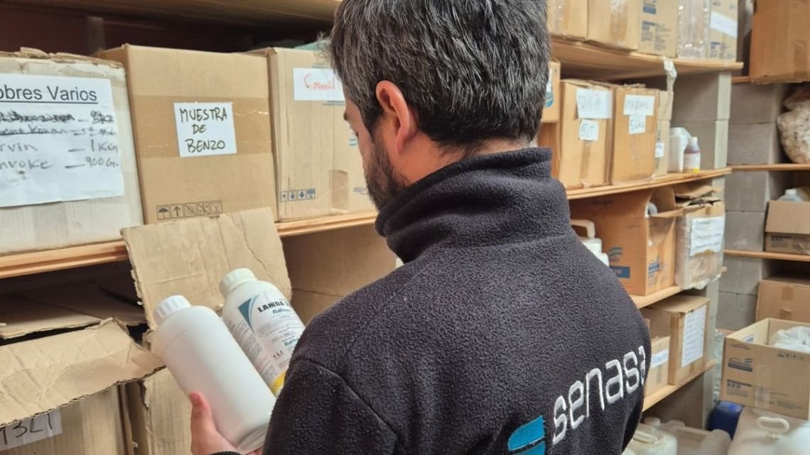 Escala salarial del SENASA en octubre: los sueldos categoría por categoría del Decreto 40/07